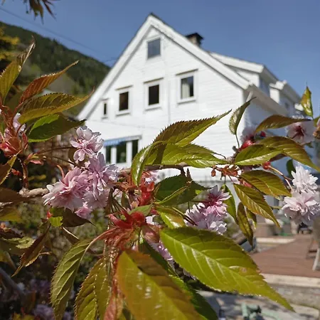 Fjord House 农家乐