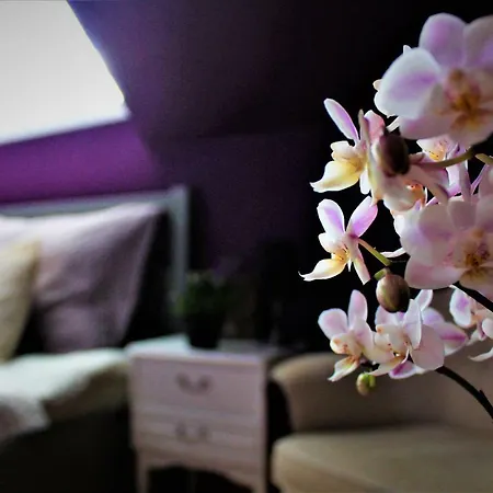 Fjord House مزرعة للإقامة Grimo