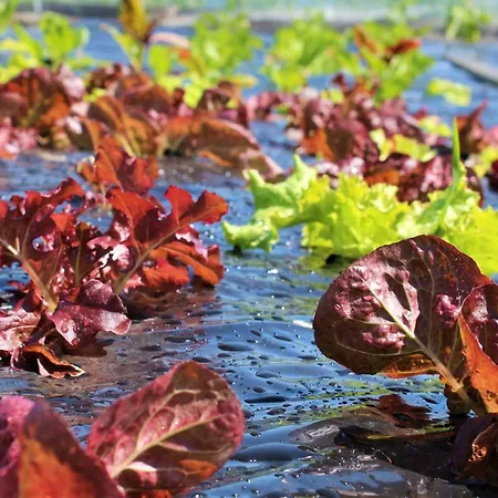 مزرعة للإقامة Fjord House Grimo