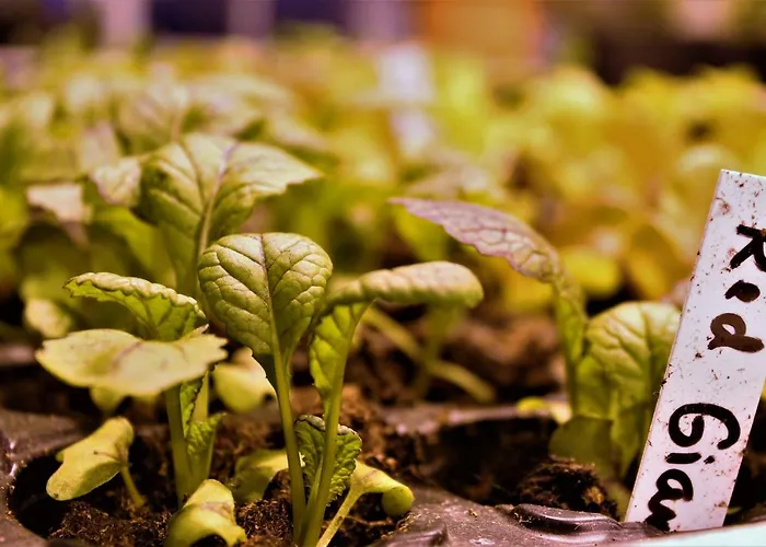 Fjord House Hardanger