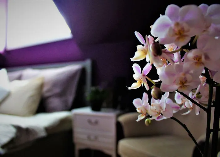 Fjord House 农家乐 Grimo