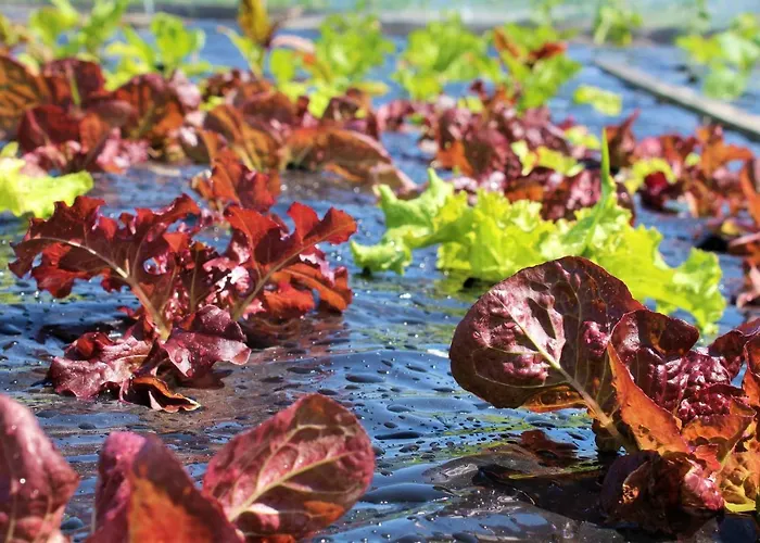 农家乐 Fjord House Grimo